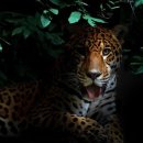 J-MOVE GYM 이미지