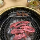 우미가 - 남구 유엔평화로 11 | 울산 한우 맛집｜우미가 n번째 방문 후기 (콜키지프리 룸식당)