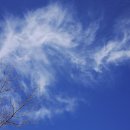 수도녹색숲모티길 이미지