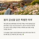 데이지가든 이미지