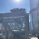 명동오렌즈 이미지