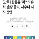 한동훈 부산엑스포 유치 때문에 간 몰타, 몰타는 결국 사우디 지지 이미지