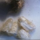 달빛 게스트하우스 이미지