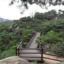 진관-011 Daum카페