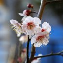 마을구판장 | 지붕없는 미술관~울산 신화마을