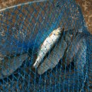 강진호수공원캠핑장 이미지