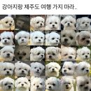 미소 이미지