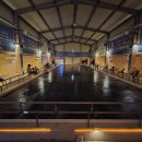 수원 드림바다 실내 낚시터 이미지