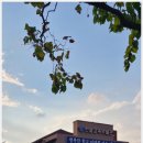 한밭교육박물관 이미지