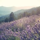 청산공인중개사