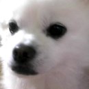 컴포즈커피 한경대점 이미지