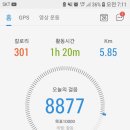 금촌체육공원 네이버블로그
