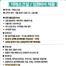 아이비커리어 이미지
