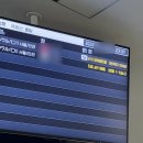 CURFEW(커퓨) | 일본여행 티웨이 항공 비행기 결항 리얼 후기 후쿠오카 공항 커퓨타임
