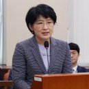 평화당 이미지
