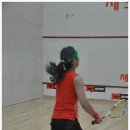 세화스쿼시 이미지