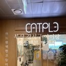복합극 “울 줄 모르는 고양이” | 부산 강서구 주말 아이랑 :: 비오는 날 실내 가기좋은 고양이카페 " 캣플헤븐 " 명지점