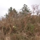 어음2리마을 이미지