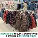크로커다일레이디모래내