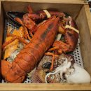 길 세이로무시 다대포점 이미지