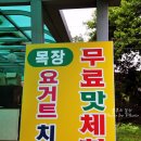 온새미로목장우유