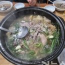 배부른생오리 이미지