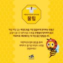 태사랑 태권도장 이미지