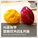 복많은농부 | 인천 강화도 여행 <시골농부 쌀베이커리&카페> 방문 및 내돈내산 시식 후기