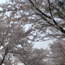 원신근린공원 이미지