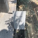 통영 사운드 끝내주는 오션뷰 카페, 알터웨이브(Alter Wave) 방문 후기