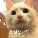 정이생(하) 이미지