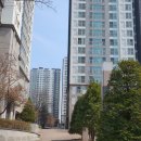 청원당구클럽 이미지