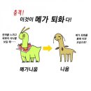 [도탁 칼럼]포켓몬 이야기-4- 이미지