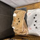 도틀왓제주