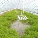 현근농장 이미지