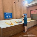 (주)유니콘씨티 | 20개월 아기랑 소노벨 변산 오션플레이 후기｜실내 워터파크 내부 시설·수온 정리