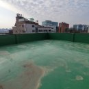 수원-0114 이미지