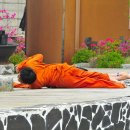 참숯나라 이미지