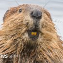 (주)정도환경 이미지