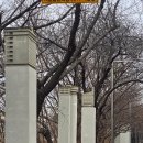 떠도는섬들 이미지