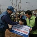 태인동 장내마을 이미지