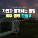 제주도 이색 체험, 캠핑하기 좋은 제주 핫플레이스 5