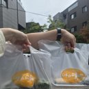 서판교로 | [떡집후기] 서판교 명가떡방 솔직후기
