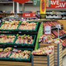 성장농장 이미지