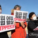 오마이 수산 이미지