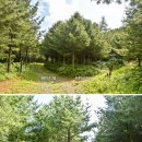 하나로3길 이미지