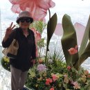 오늘은 롯데월드로 외출 이미지