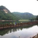 산정호수 아일랜드 이미지