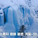 천리배움터