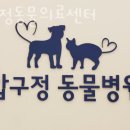 압구정동물의료센터 이미지